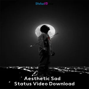 Aesthetic Sad Status Video Download