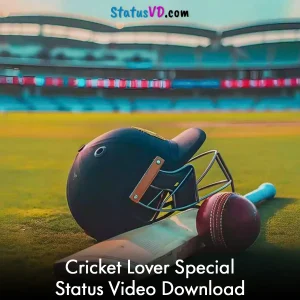 Cricket Lover Special Status Video Download
