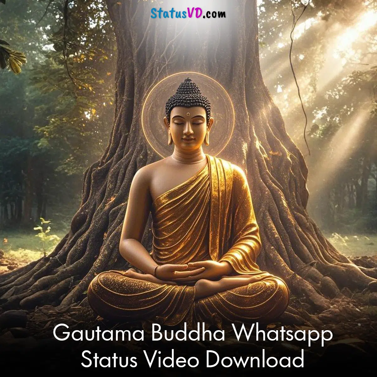 Gautama Buddha Whatsapp Status Video Download
