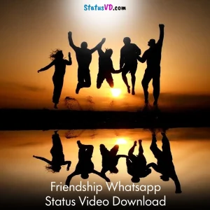 Friendship Whatsapp Status Video Download